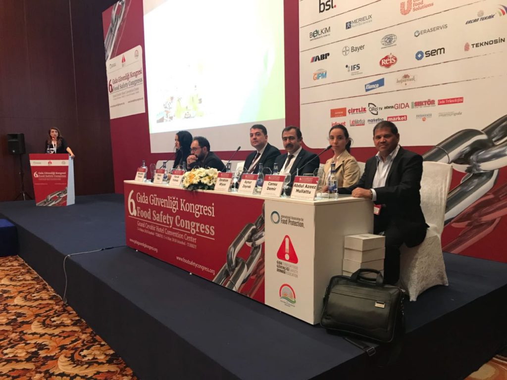 9475a82c-8ff7-4b4b-a3df-5f8a786c2dc9-1024x768