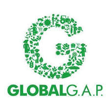 Global Gap Consultancy