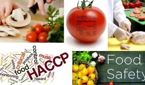 HACCP Training In UAE