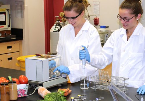 Food Safety Department Approval